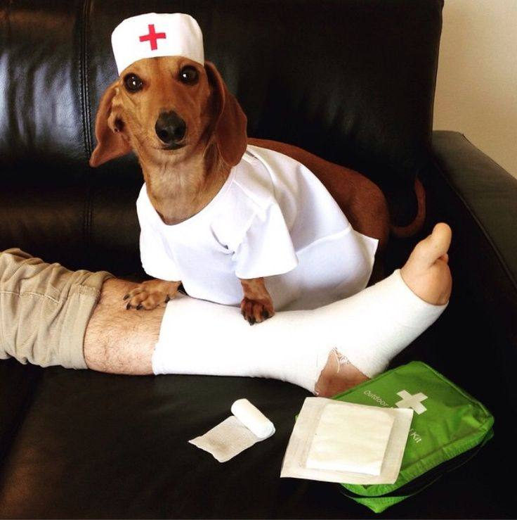 Salsichinhas tweet media