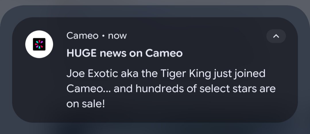 walt_tillman's tweet image. We are so back #tigerking