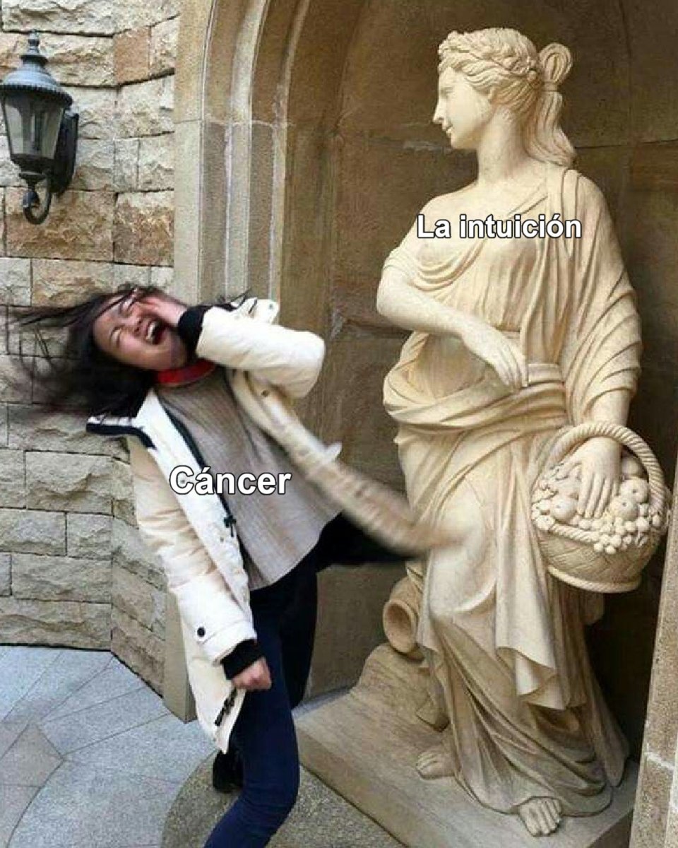 De verdad que nuestras sospechas a veces pueden sentirse así 😂