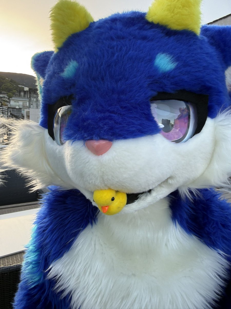 nekonosuke_kemo's tweet photo. #お泊まリウリ会
これはむしゃむしゃするたーじ https://t.co/pB2whPMQ4U