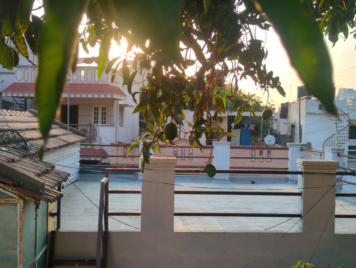 toneless007's tweet image. #backup