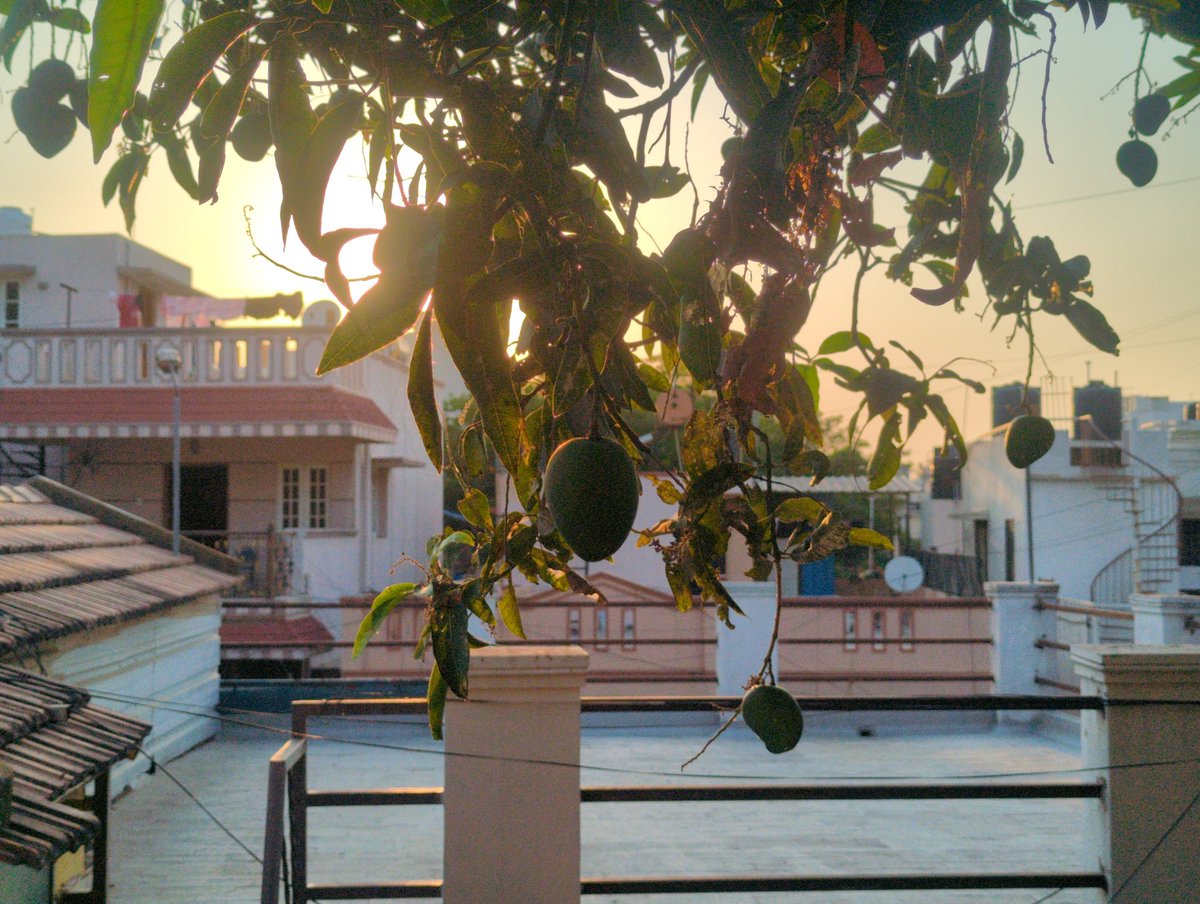 toneless007's tweet image. #backup