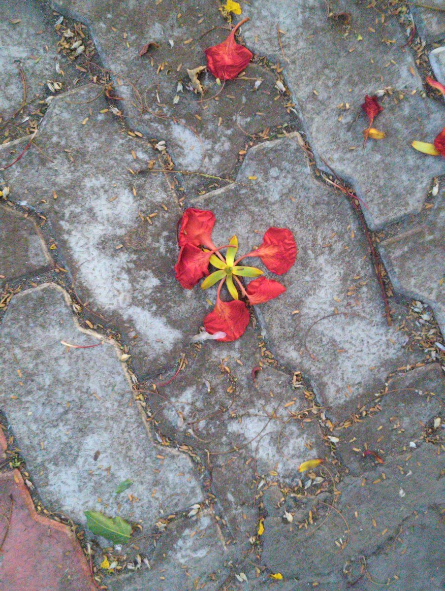 toneless007's tweet image. #backup