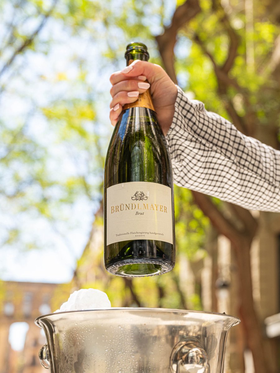 Bründlmayer, con una historia que se remonta al año 1581, es uno de los elaboradores de vino más prestigiosos de Austria. Bründlmayer Brut es un espumoso de método tradicional, ideal con salmón ahumado, unas almejas a la plancha o un surtido de paté y foie gras. #vinodelasemana