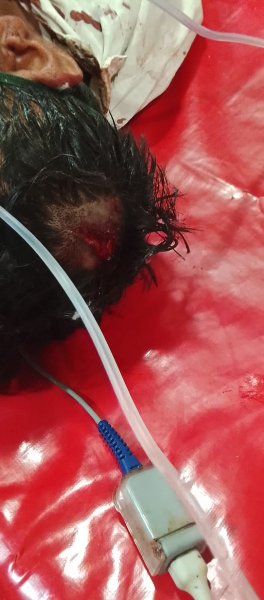 Arjun Panday 🚩🚩 tweet media