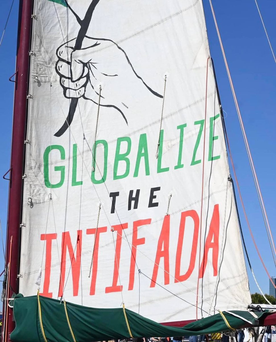 أخبار صفا Safa News tweet media