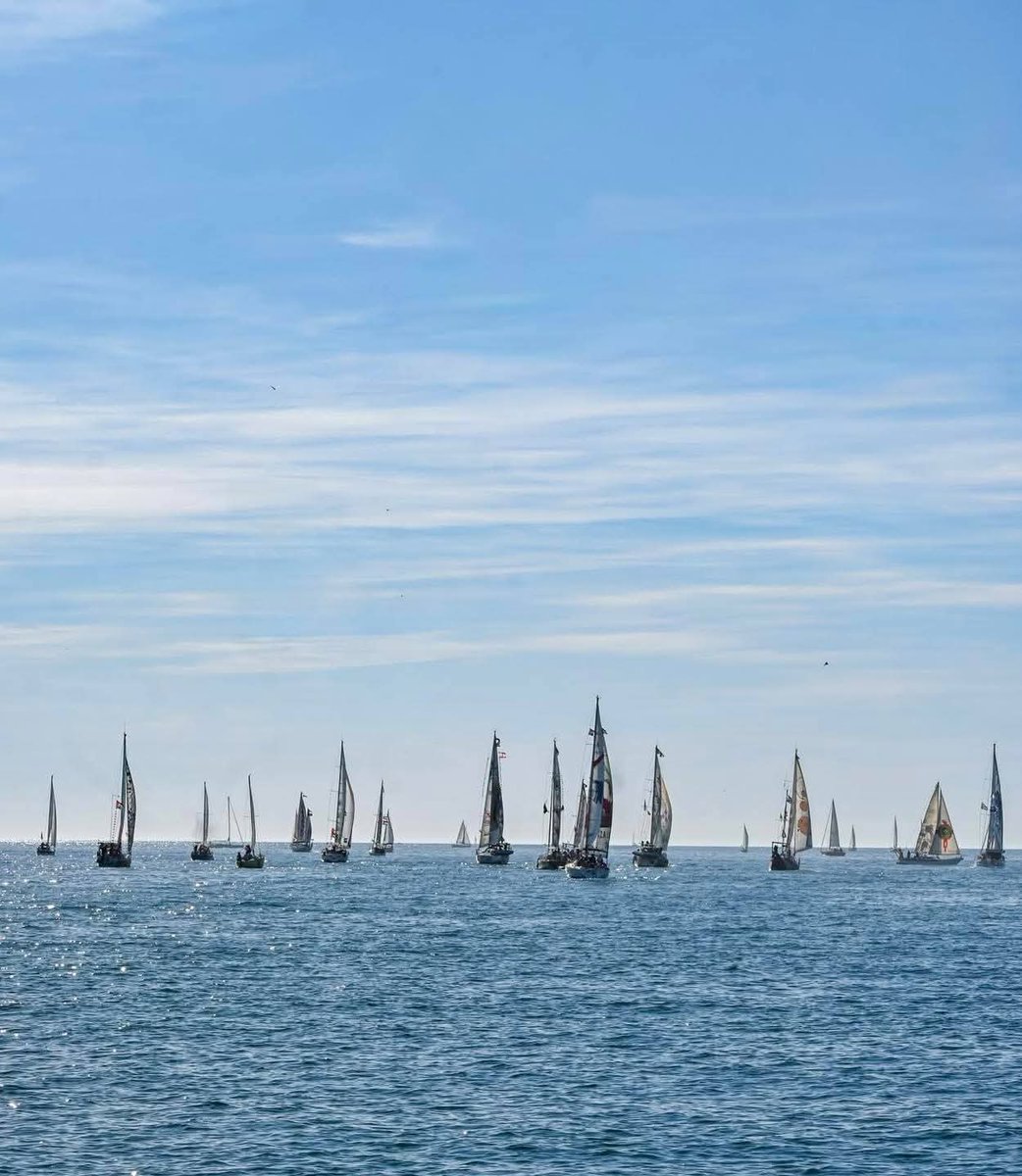 أخبار صفا Safa News tweet media