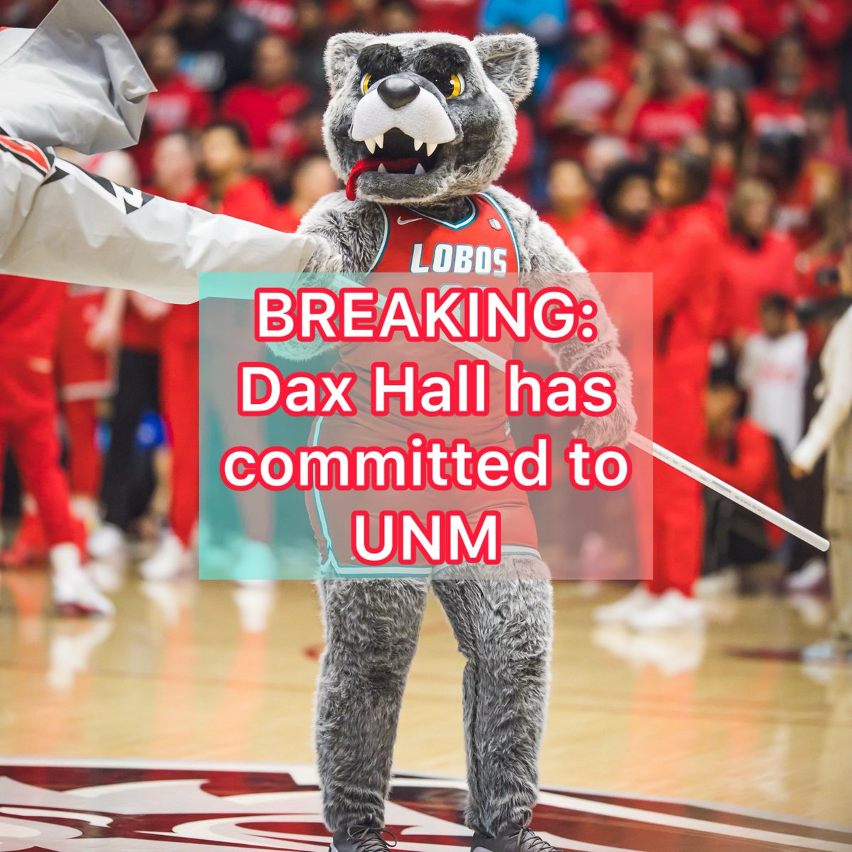 CouchPSports's tweet image. LFG!!!! #unmlobos #golobos #newmexico