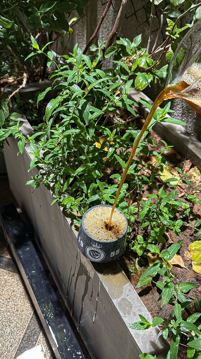 𝐿𝑎𝑚𝑎🦋 tweet media