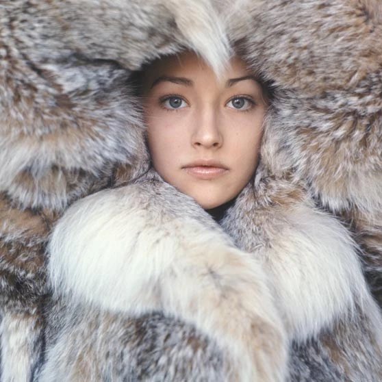 𝑵𝒐𝒔𝒕𝒂𝒍𝒈𝒊𝒂 tweet media