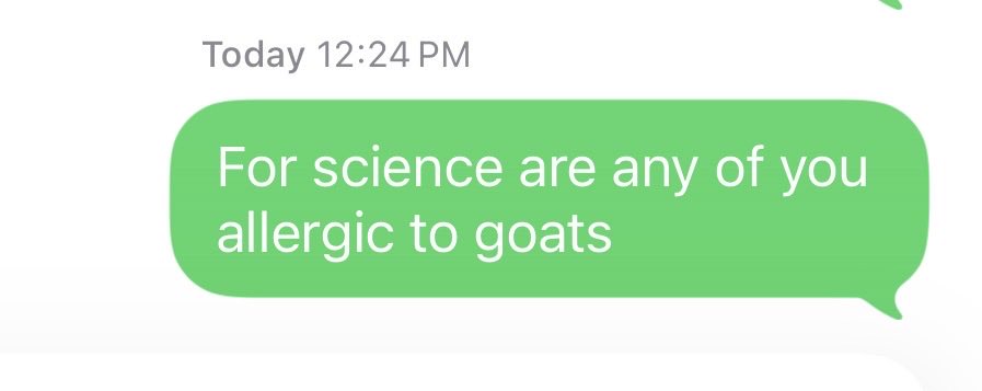 Never let the bridesmaid group chat know your next move