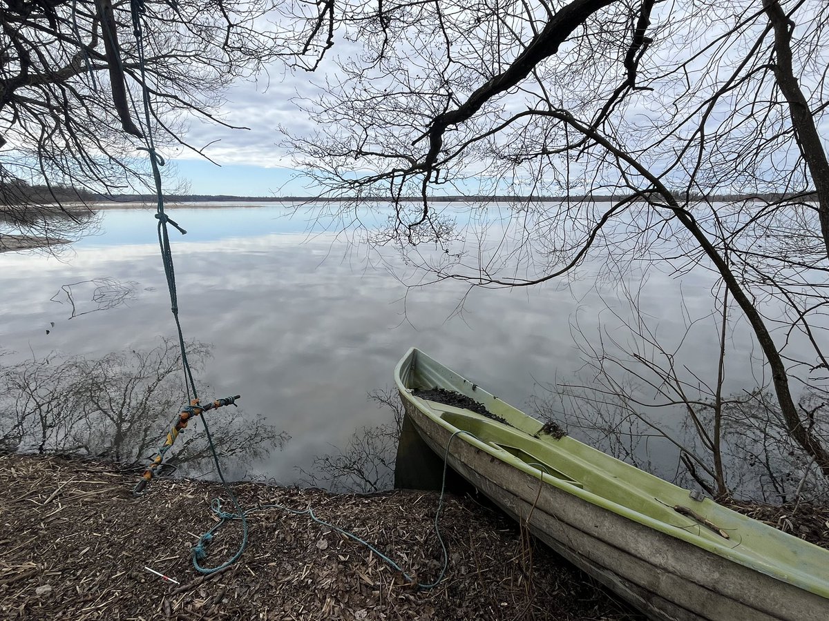 Саша Финский стыд 🏳️‍🌈 tweet media