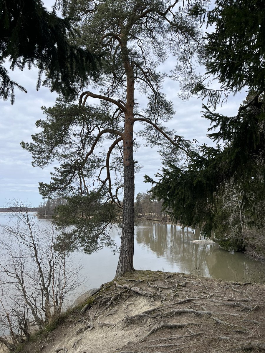 Саша Финский стыд 🏳️‍🌈 tweet media