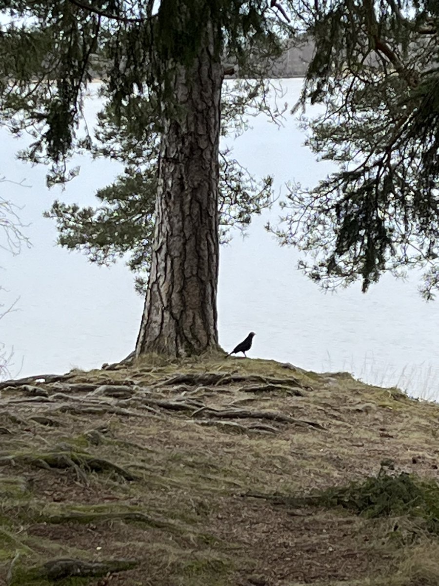 Саша Финский стыд 🏳️‍🌈 tweet media