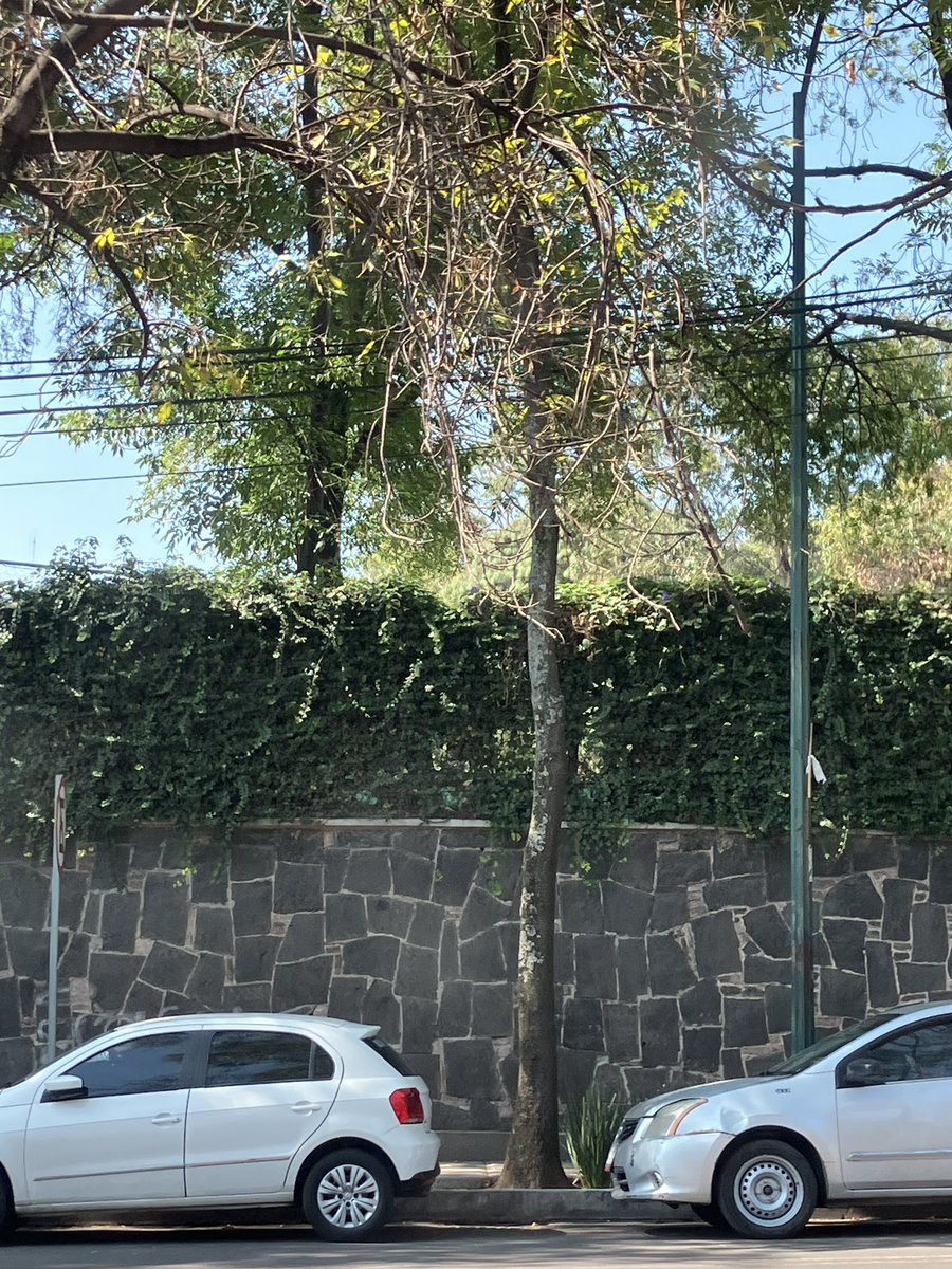 COPACO Irrigación tweet media