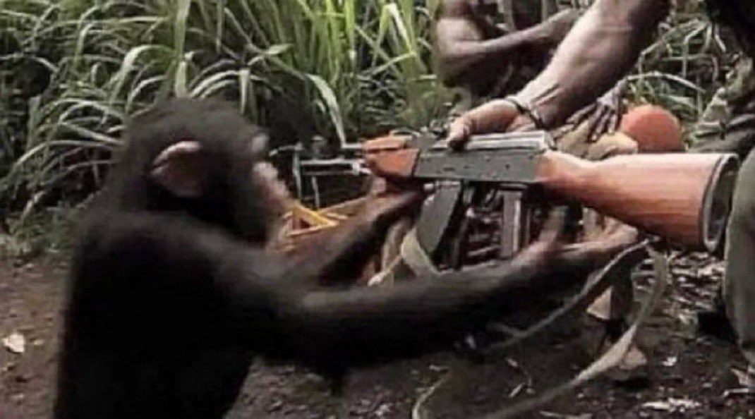 litquidity tweet media