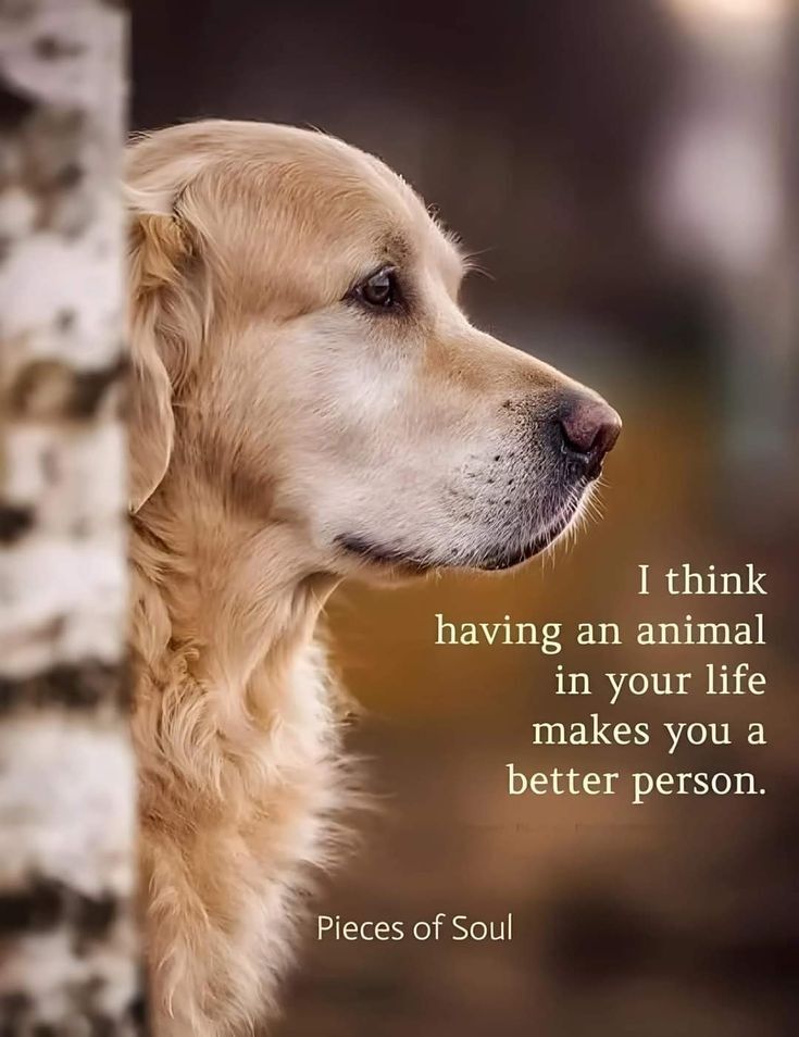 Catherine tweet media