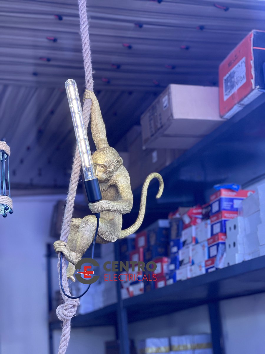 centroelect's tweet photo. Monkey pendant light available in black and gold color .

📍 Asaba, Delta State. (Nationwide Delivery) https://t.co/cd1EMQ8y8s