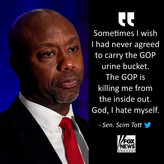 Pudding Fight tweet media