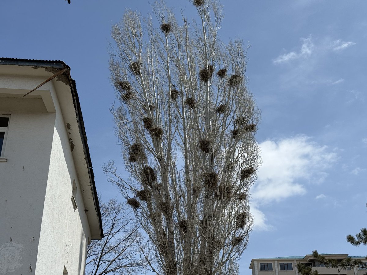 Tekman Kaymakamlığı tweet media