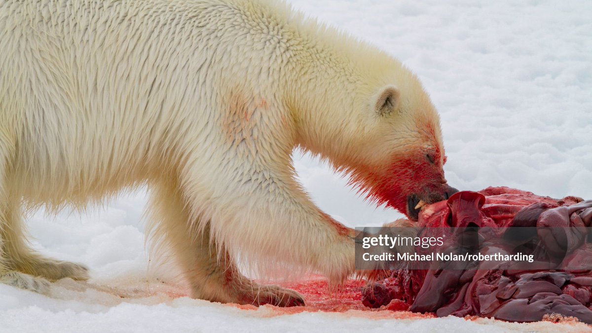 Upstanding Citizen tweet media