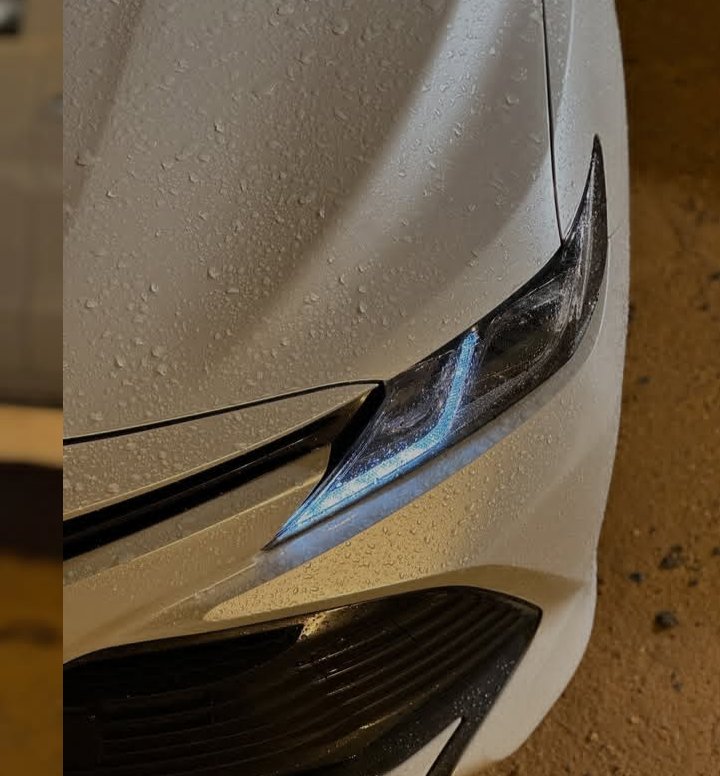 ドン DON tweet media