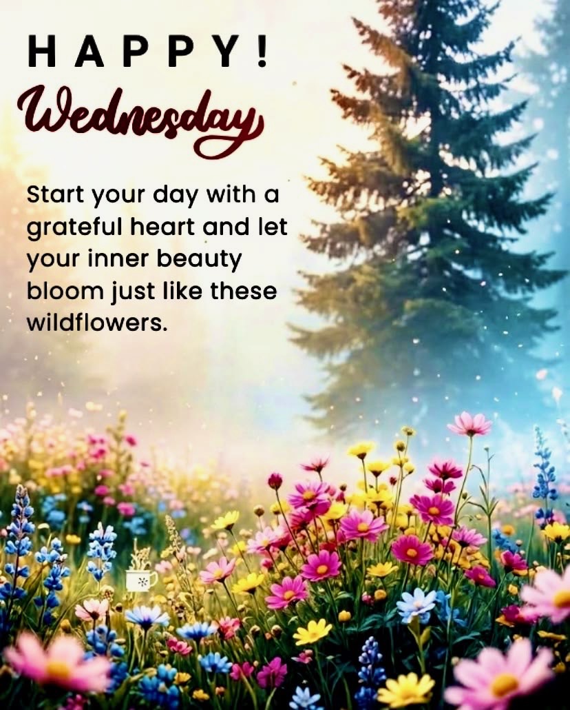 barbiesway's tweet image. As the sun rises &amp;amp; paints the sky with hope, may your day be filled with endless blessings, gentle peace, &amp;amp; joyful moments.🙏🌹🫖🧋😀❤️🇺🇸🦋🐞🍋🍅🥑☮️🐾🌻💻🖊️📚✝️
#Wednesdayvibe #wednesdaymotivation 
𝗚𝗼𝗼𝗱 𝗠𝗼𝗿𝗻𝗶𝗻𝗴☕️ 𝐆𝐨𝐨𝐝 𝐀𝐟𝐭𝐞𝐫𝐧𝐨𝐨𝐧🌞 𝗚𝗼𝗼𝗱 𝗡𝗶𝗴𝗵𝘁🌛⭐️
