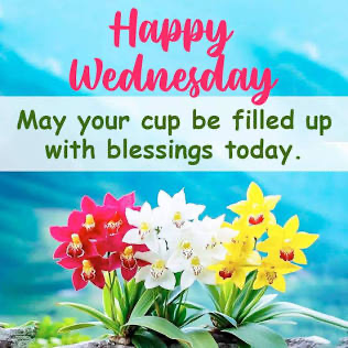 barbiesway's tweet image. As the sun rises &amp;amp; paints the sky with hope, may your day be filled with endless blessings, gentle peace, &amp;amp; joyful moments.🙏🌹🫖🧋😀❤️🇺🇸🦋🐞🍋🍅🥑☮️🐾🌻💻🖊️📚✝️
#Wednesdayvibe #wednesdaymotivation 
𝗚𝗼𝗼𝗱 𝗠𝗼𝗿𝗻𝗶𝗻𝗴☕️ 𝐆𝐨𝐨𝐝 𝐀𝐟𝐭𝐞𝐫𝐧𝐨𝐨𝐧🌞 𝗚𝗼𝗼𝗱 𝗡𝗶𝗴𝗵𝘁🌛⭐️