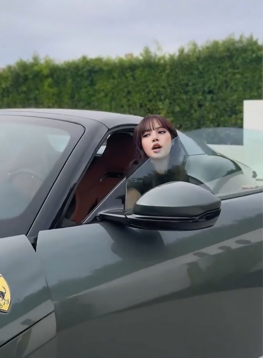 the dog ˢᵖᵉᵉᵈⁱ tweet media