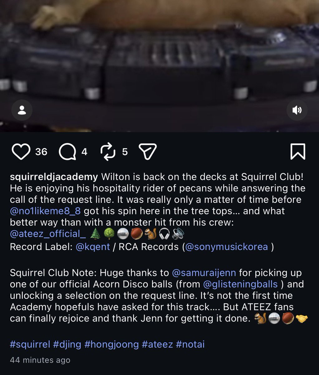 rowan 💫 tweet media