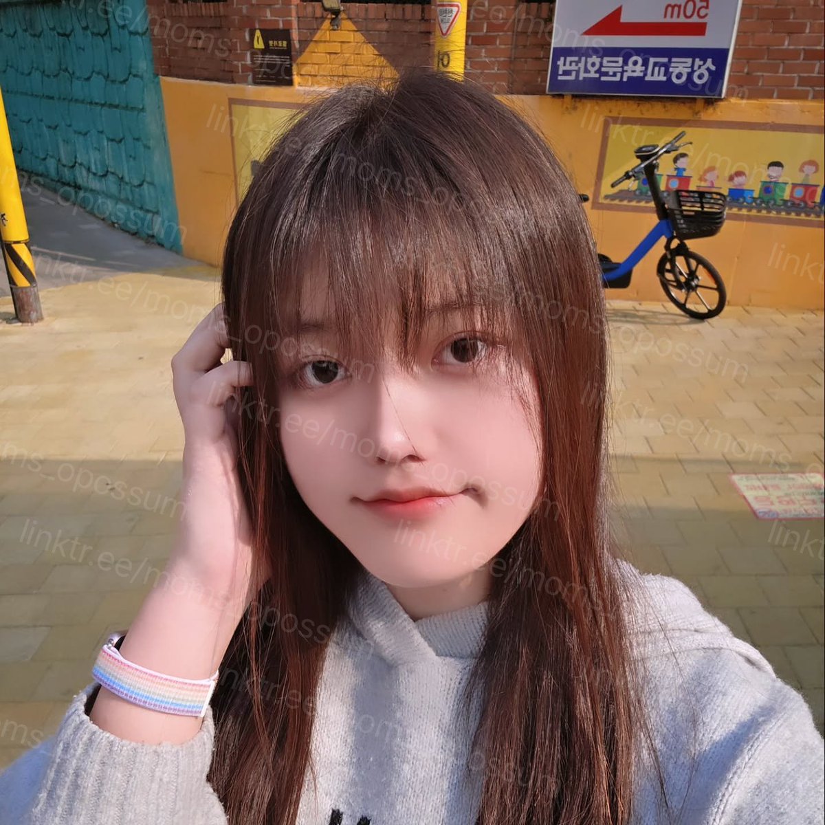 미뇽 Mignon 🏳️‍⚧️ tweet media