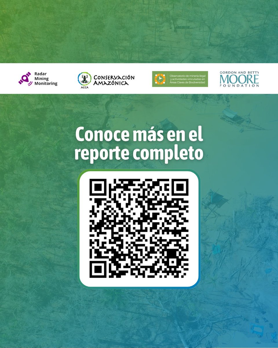 Conservación Amazónica - ACCA tweet media