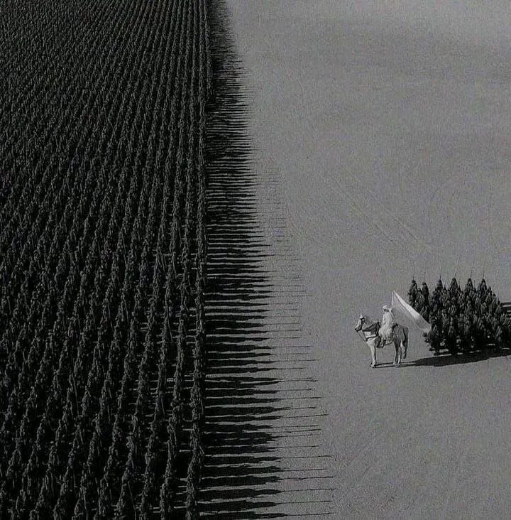 🦅 زاهد آزمون tweet media