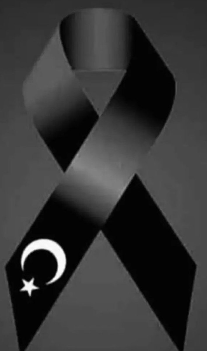 Leylizal tweet media