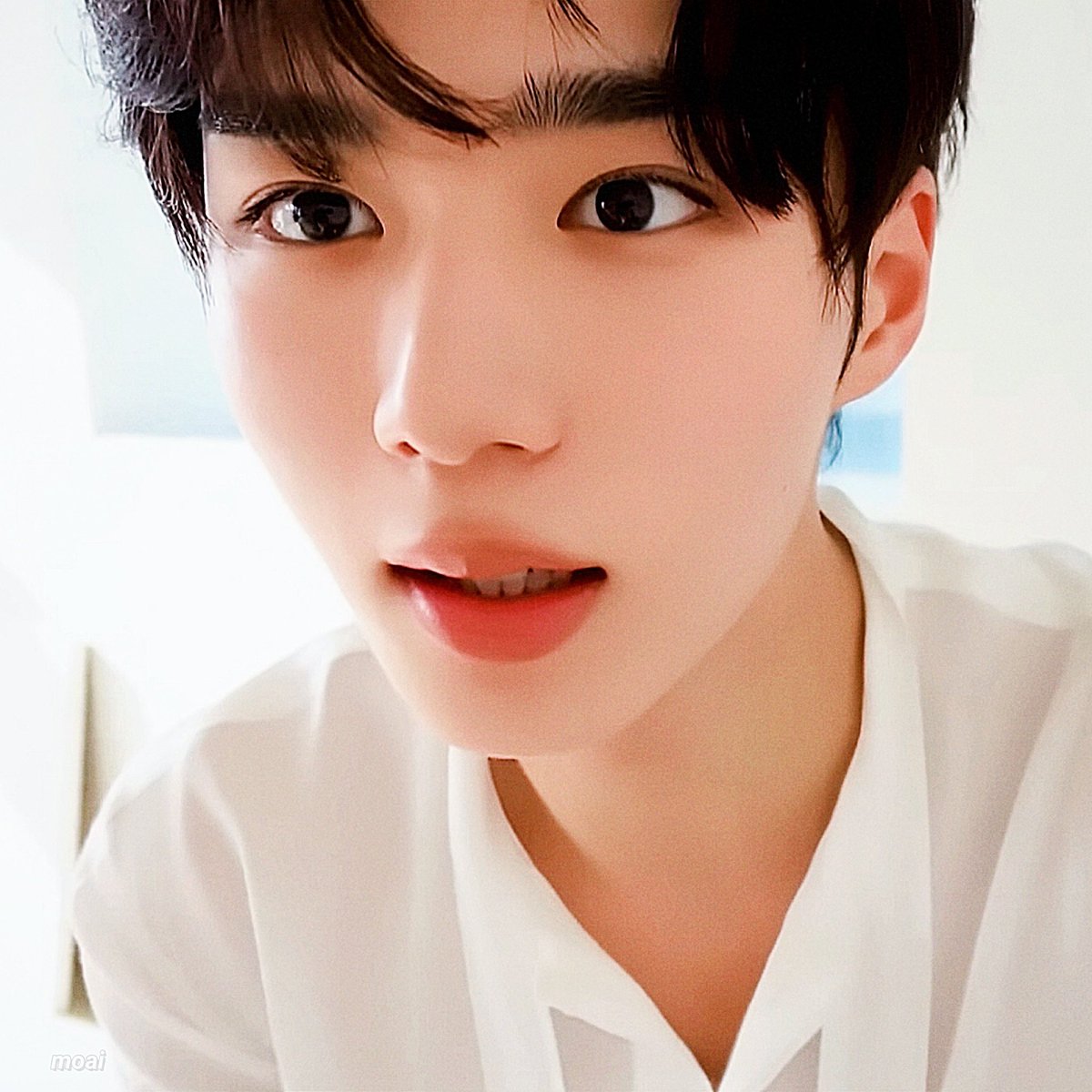 𝘮𝘰𝘢𝘪. tweet media