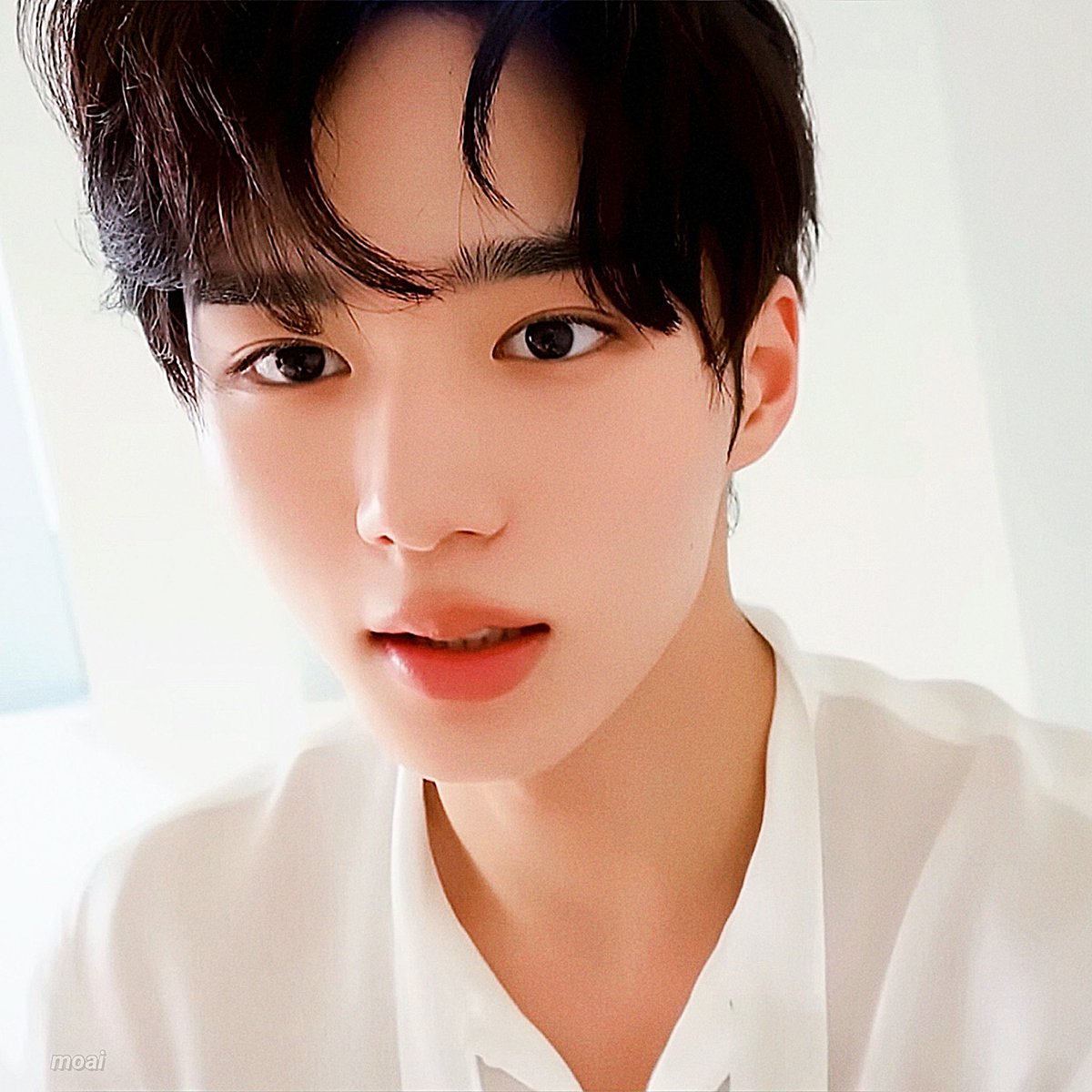 𝘮𝘰𝘢𝘪. tweet media
