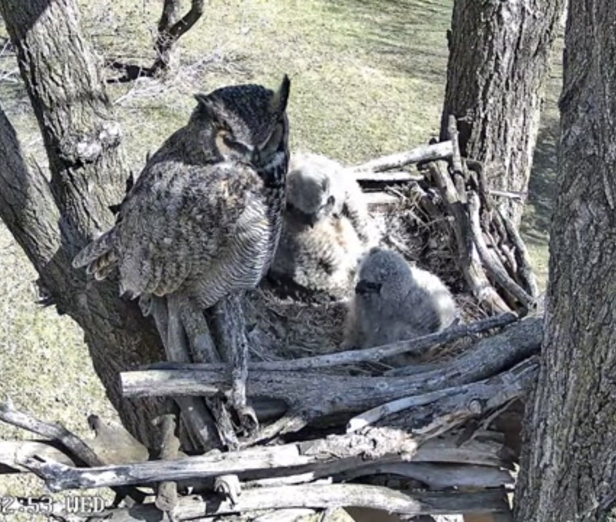 Danielle Langlois tweet media