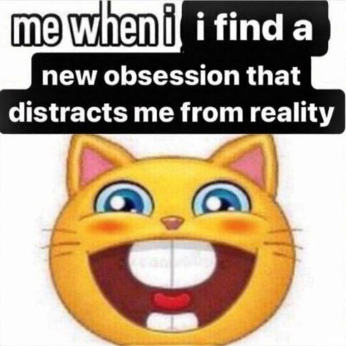 Cool Cat Society tweet media