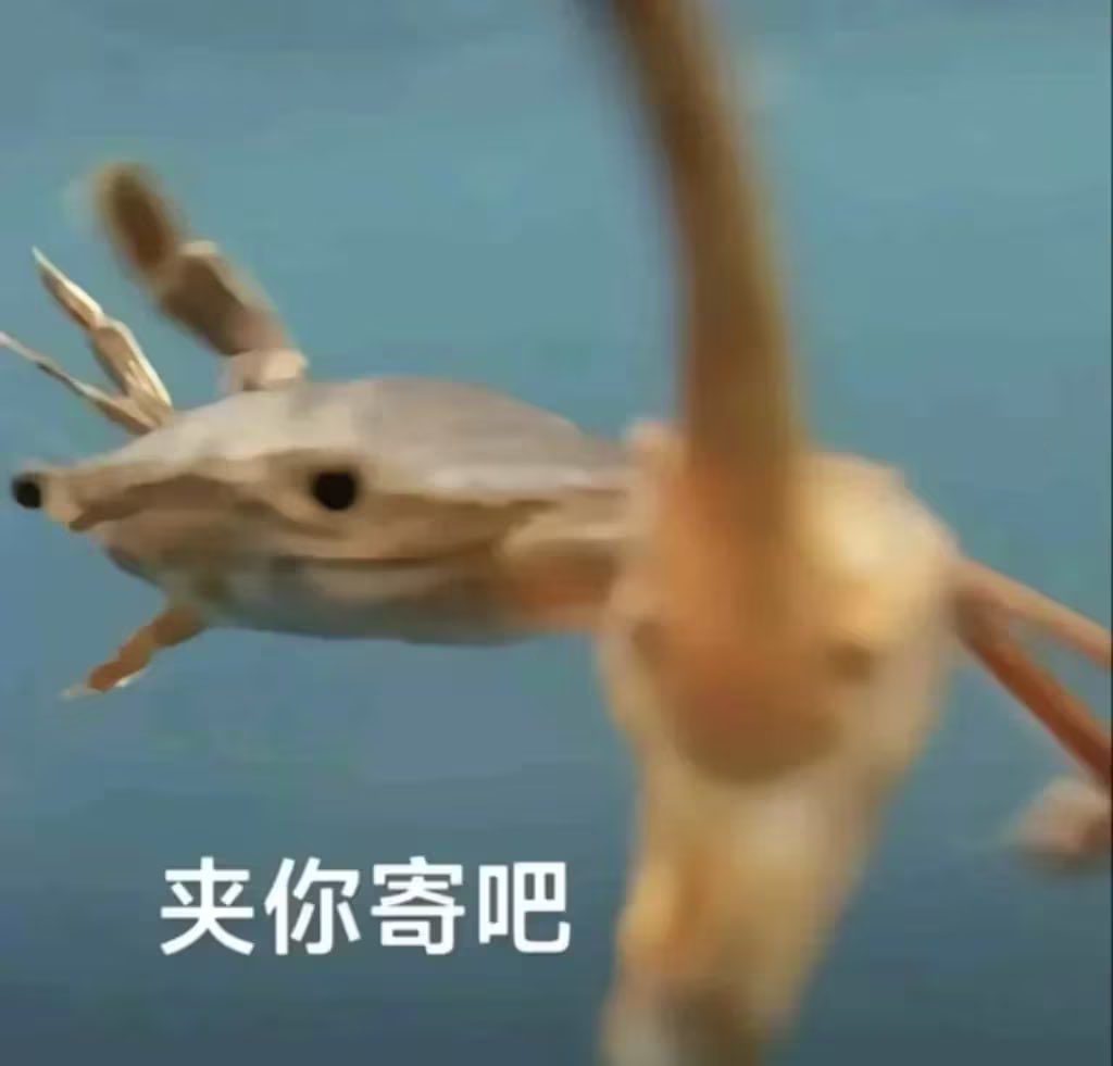 YunJiu's tweet photo. https://t.co/araTHRcvQF