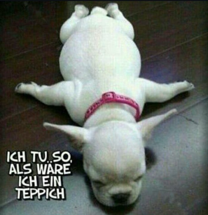 𝗚𝗼𝗱𝗯𝗹𝗲𝘀𝘀 tweet media