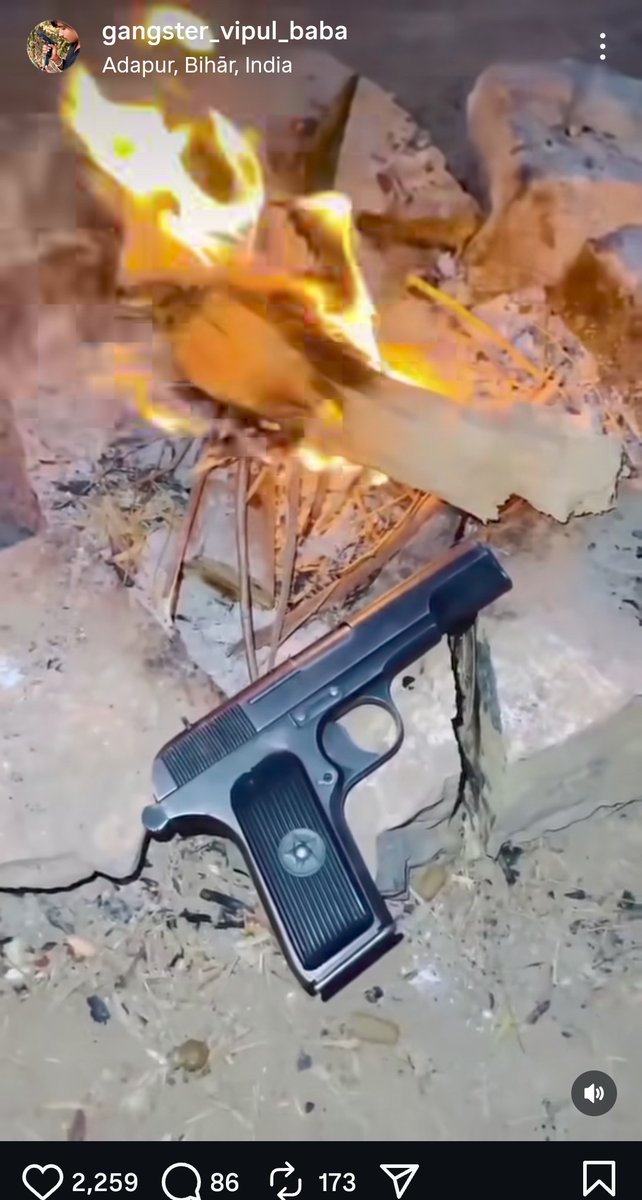 Elite Predators tweet media