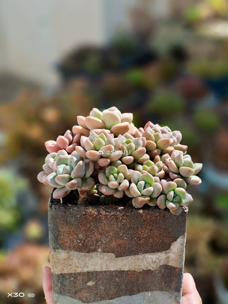 Edward Moore tweet media