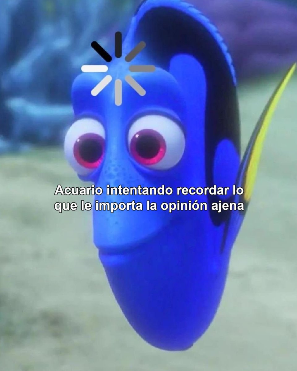 Y seguimos buscando 😂