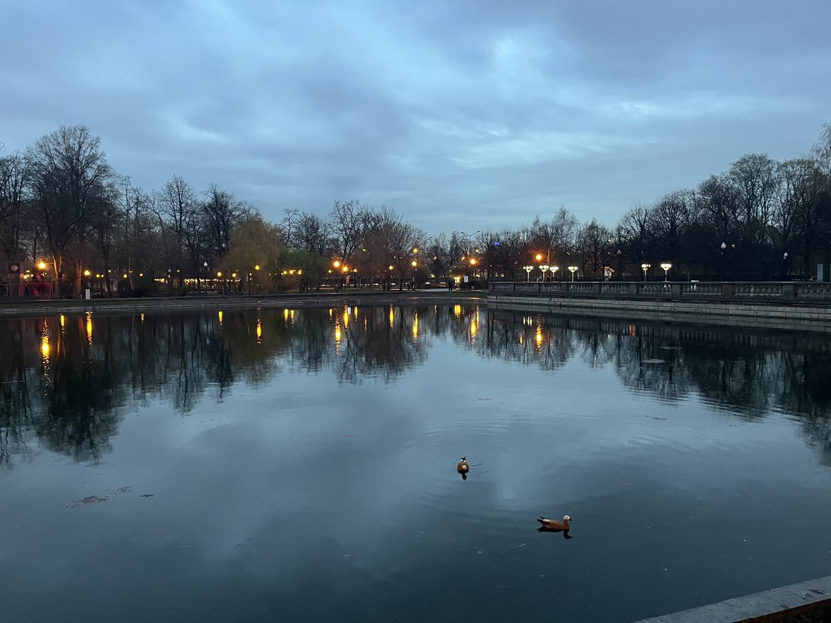 Emrullah tweet media