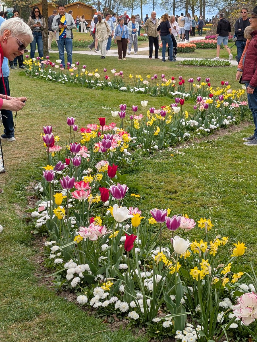 PatricePerret's tweet photo. Morges, la fête de la tulipe https://t.co/PRxlCRvXGd