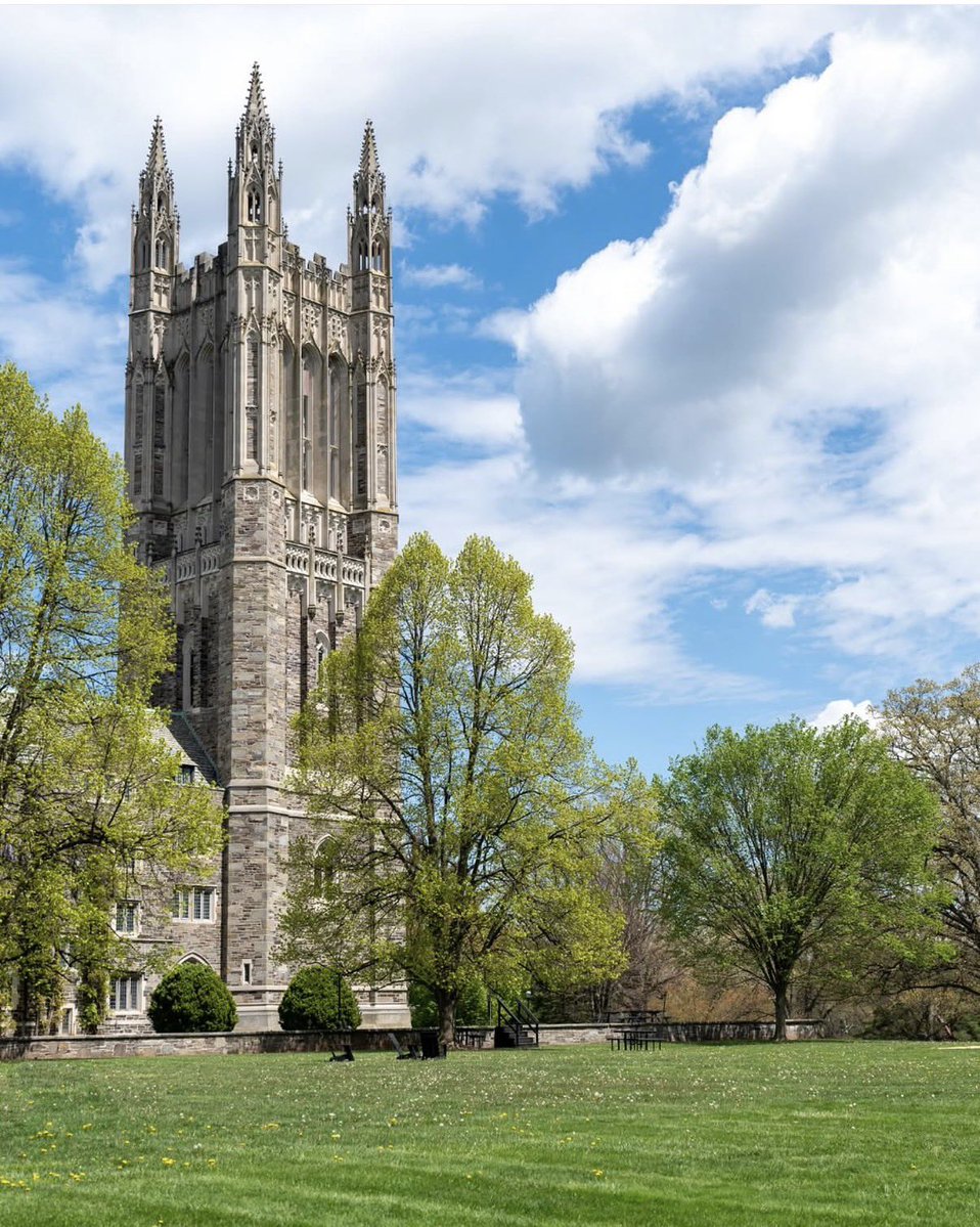 Valentina Andradd de la Horra tweet media