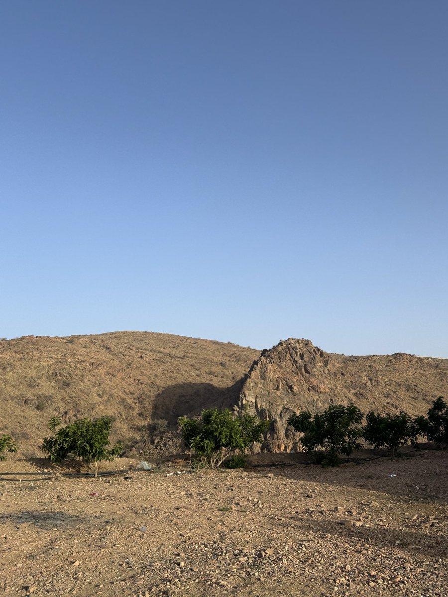 مصطفى عبدالله tweet media