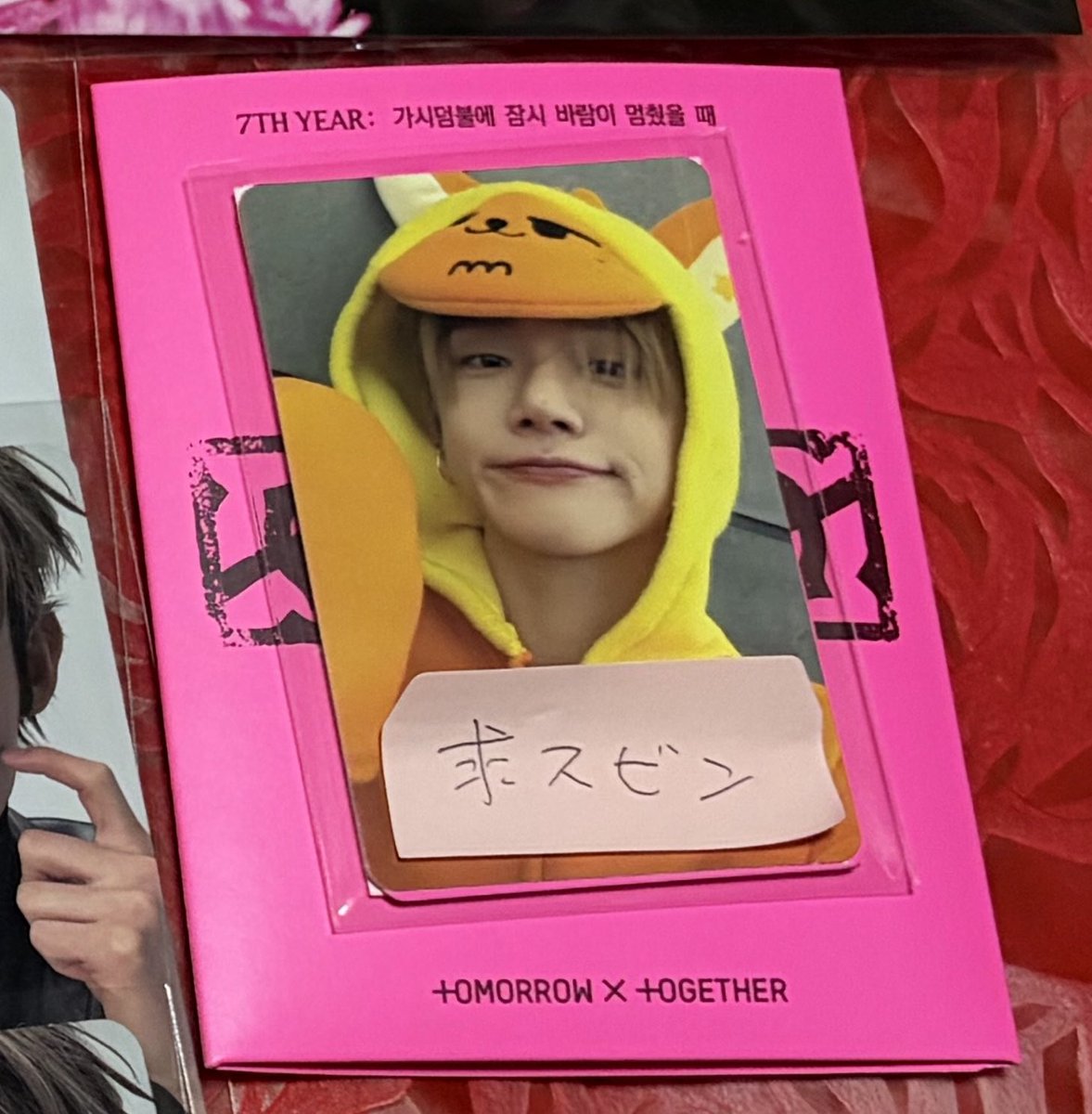 まい🧭🐰🐺🩵🦊🐰🐿💎🍒🐶🐱🦌💎 tweet media