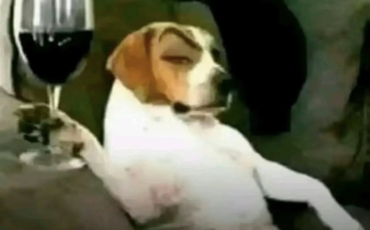 GIA 🧚 tweet media