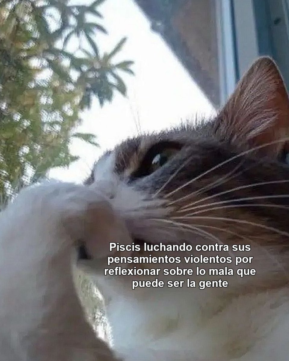 piscis_hn's tweet photo. REAL https://t.co/8HGe84VDN1